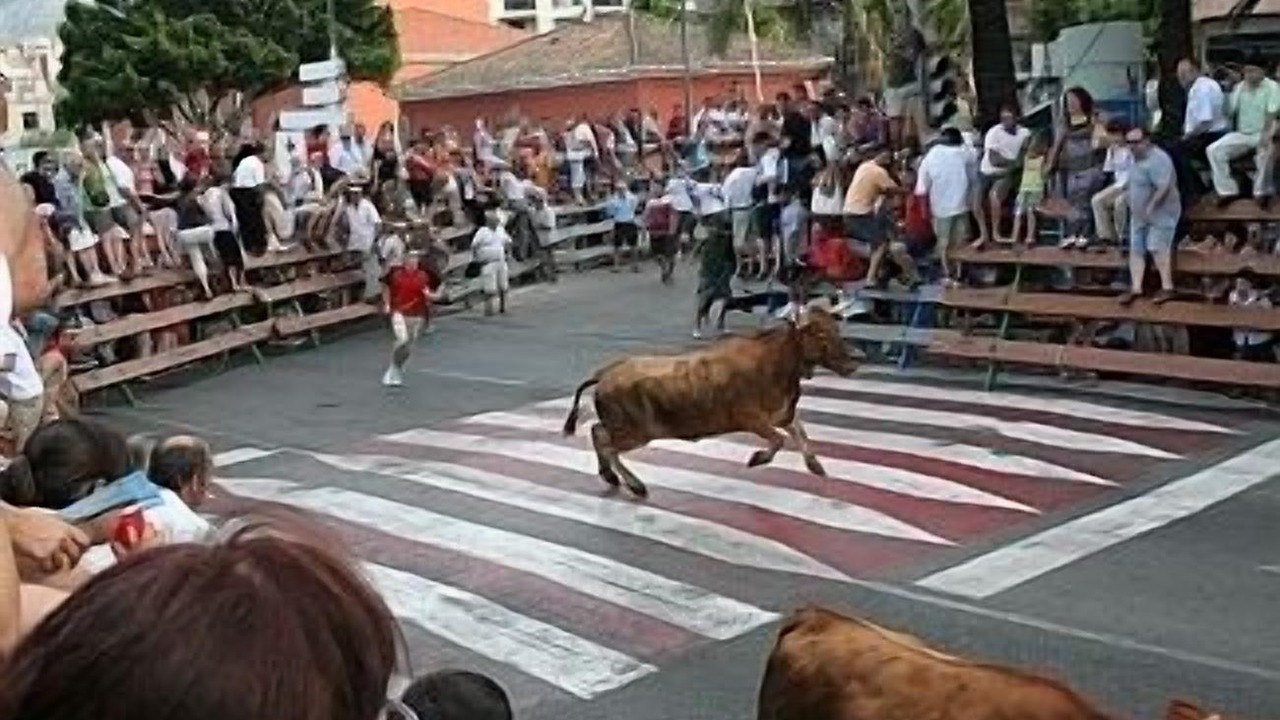 Photo of Others in Alcalali