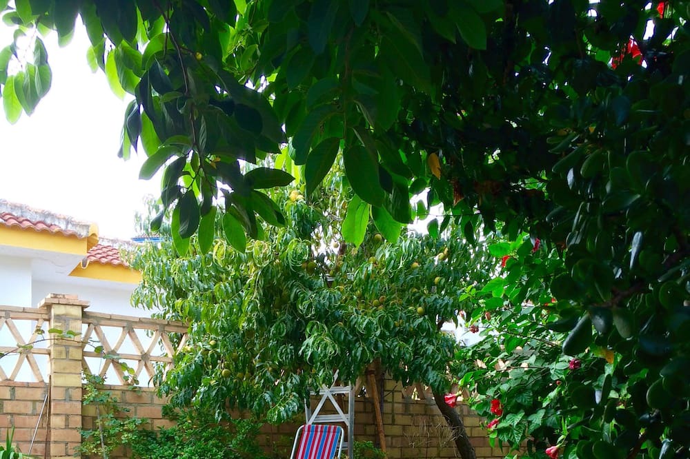 Photo of Outdoor in Sector P - Palmito