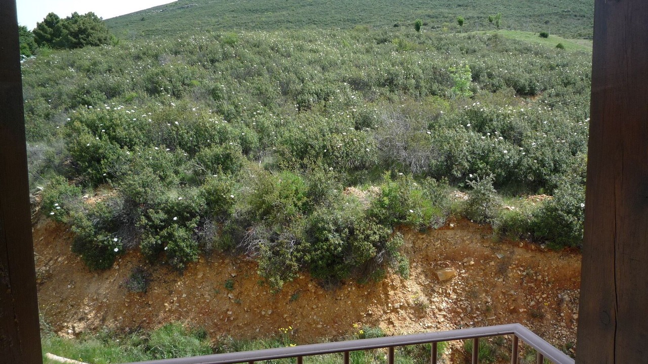 Photo of Patio Balcony in Berzosa del Lozoya