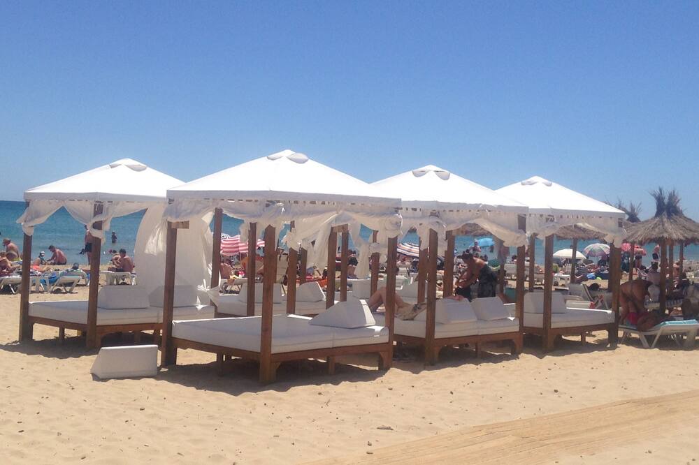 Photo of Others in Los Arenales del Sol