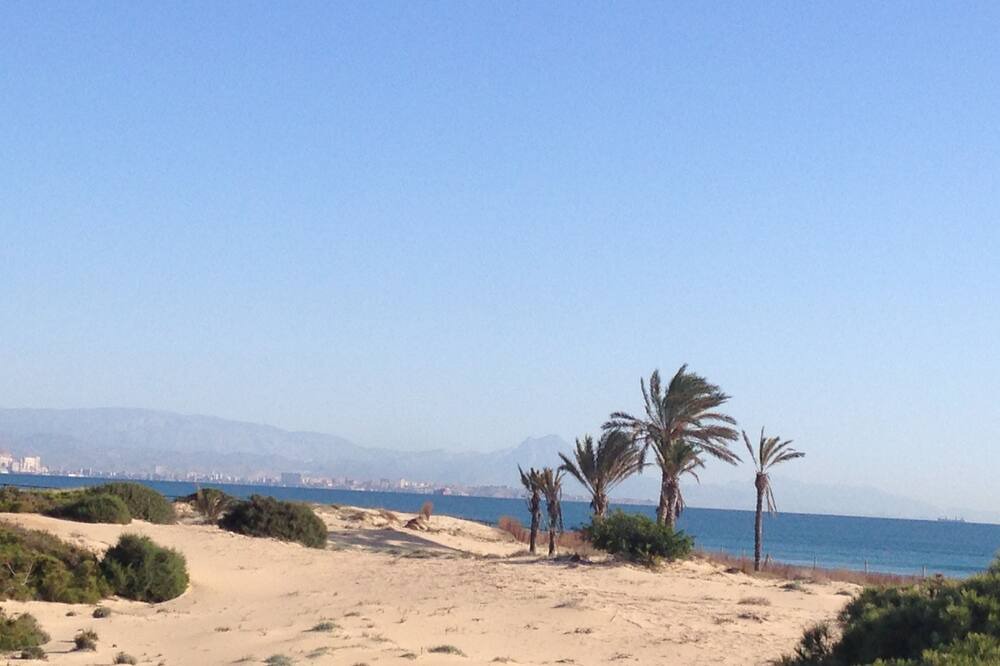 Photo of Others in Los Arenales del Sol