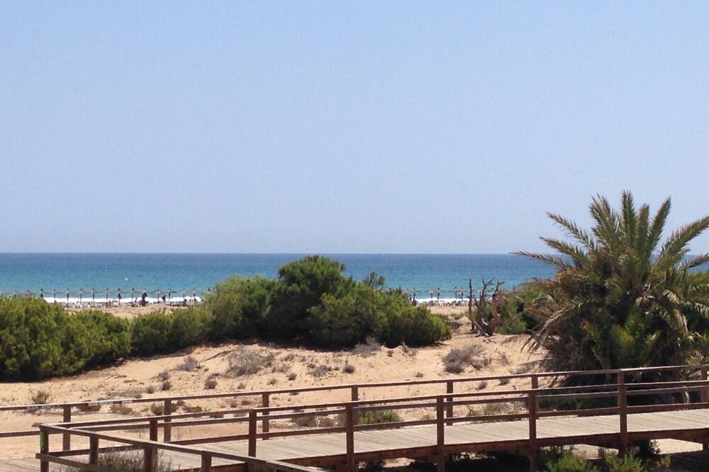 Photo of Others in Los Arenales del Sol