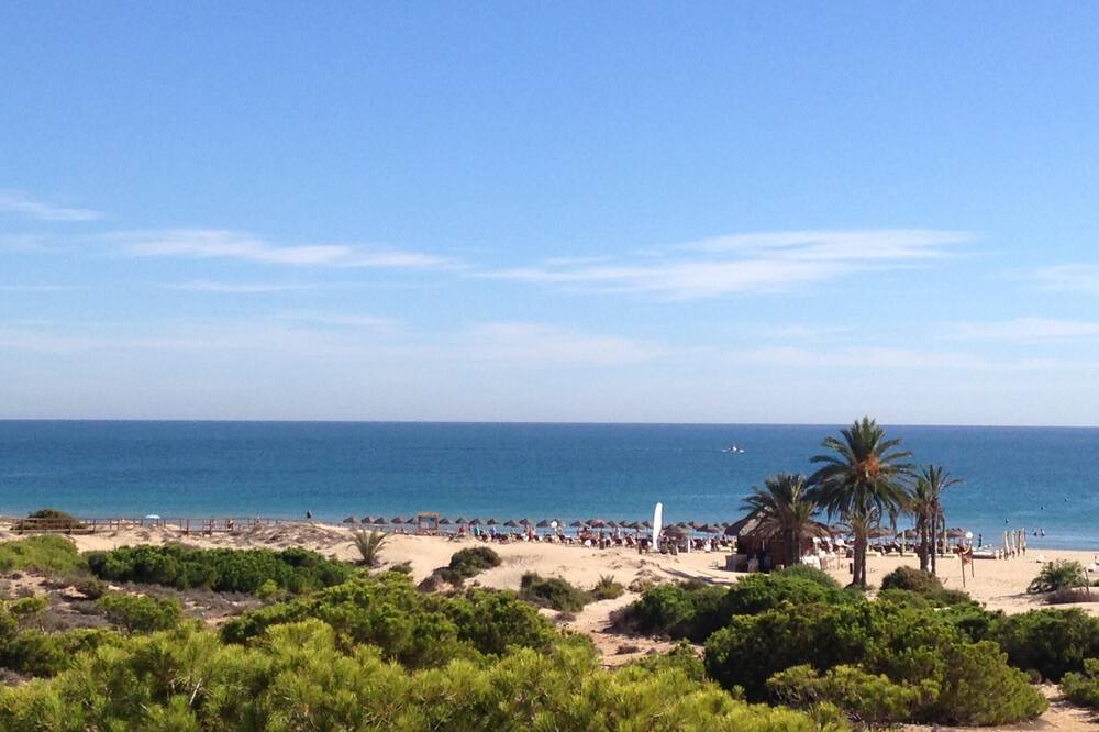 Photo of Others in Los Arenales del Sol