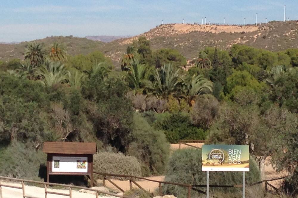 Photo of Others in Los Arenales del Sol