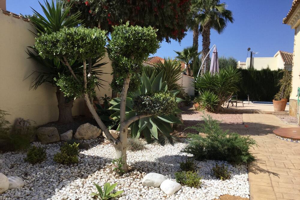 Photo of Outdoor in Daya Vieja