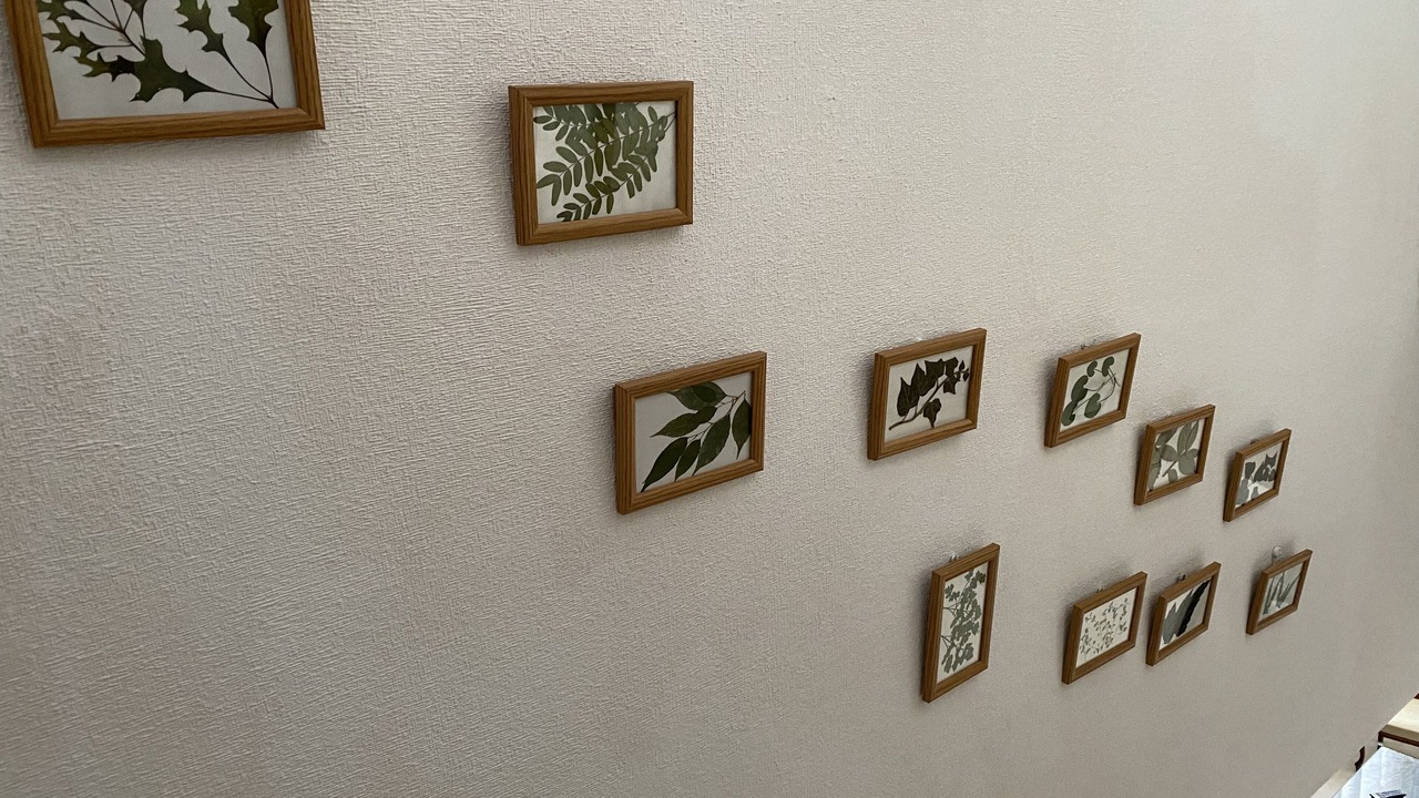 Photo of Others in Becerril de la Sierra
