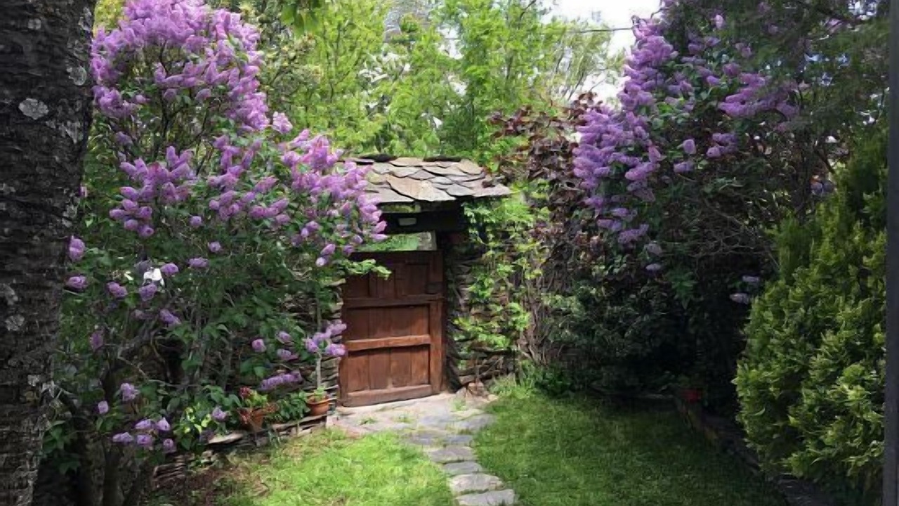 Photo of Outdoor in Campillo de Ranas