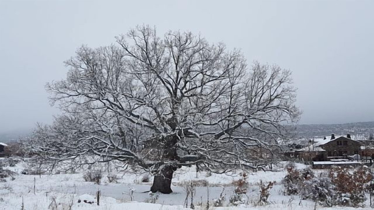 Photo of Outdoor in Campillo de Ranas