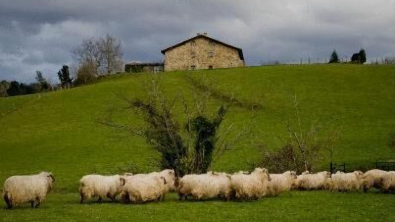 Photo of Outdoor in Amurrio