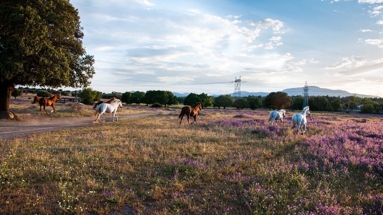 Photo of Outdoor in San Lorenzo de El Escorial