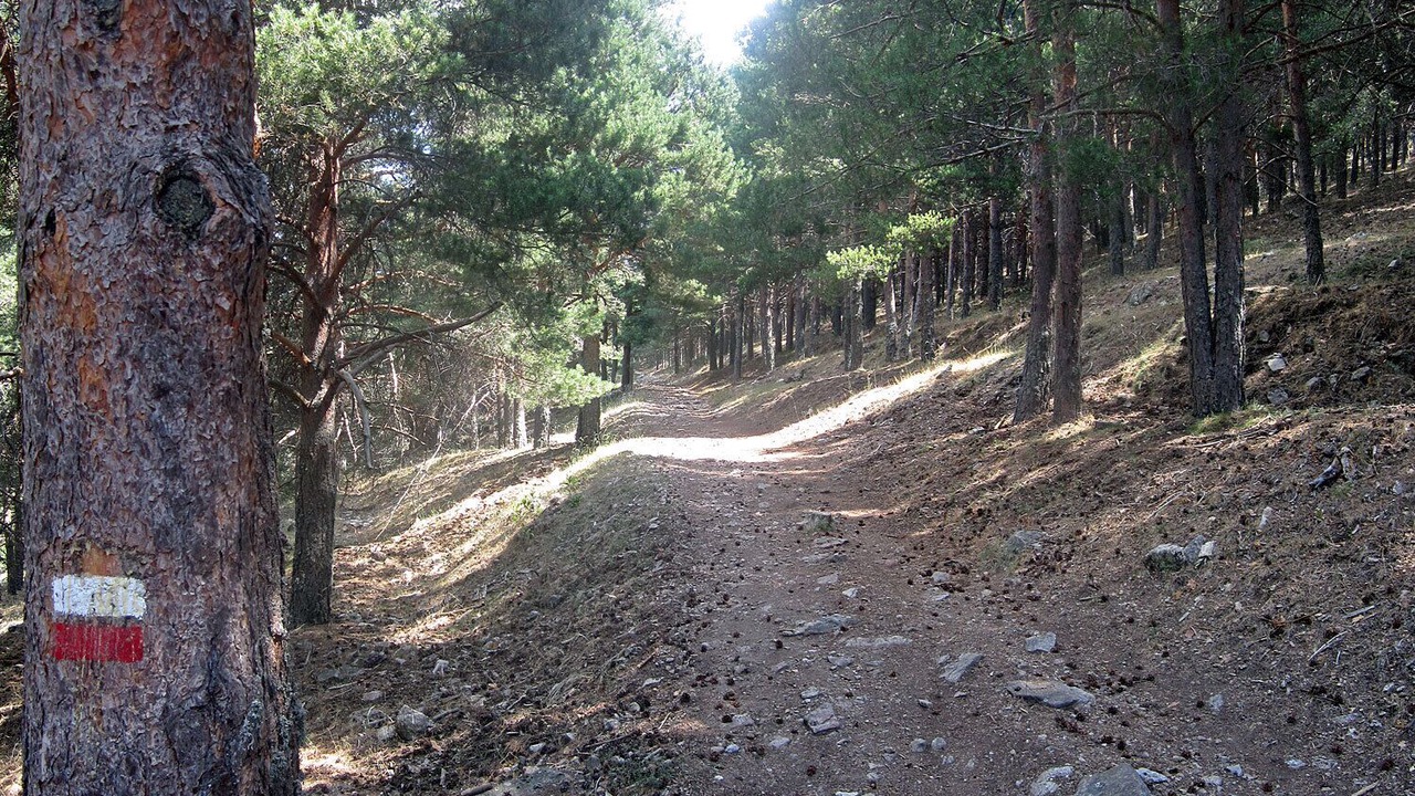 Photo of Outdoor in San Lorenzo de El Escorial