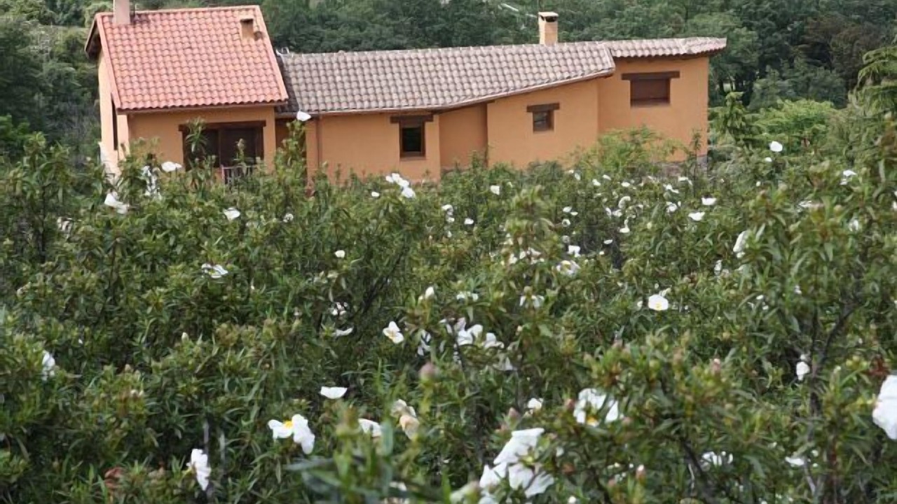 Photo of Outdoor in Berzosa del Lozoya