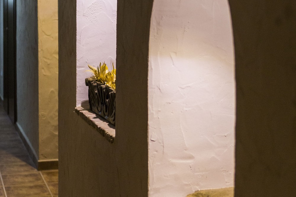 Photo of Bedroom in Horche