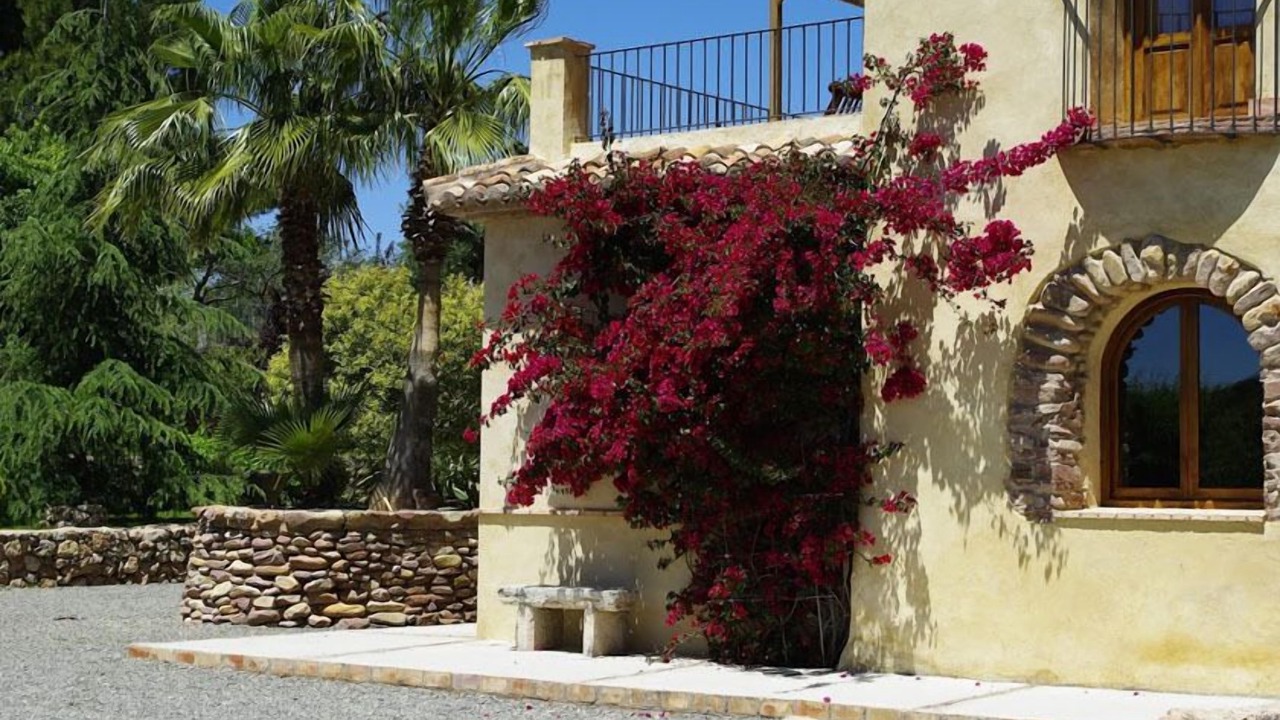 Photo of Outdoor in Castellnovo