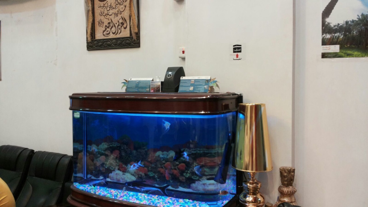 Photo of Others in Al Mubarraz