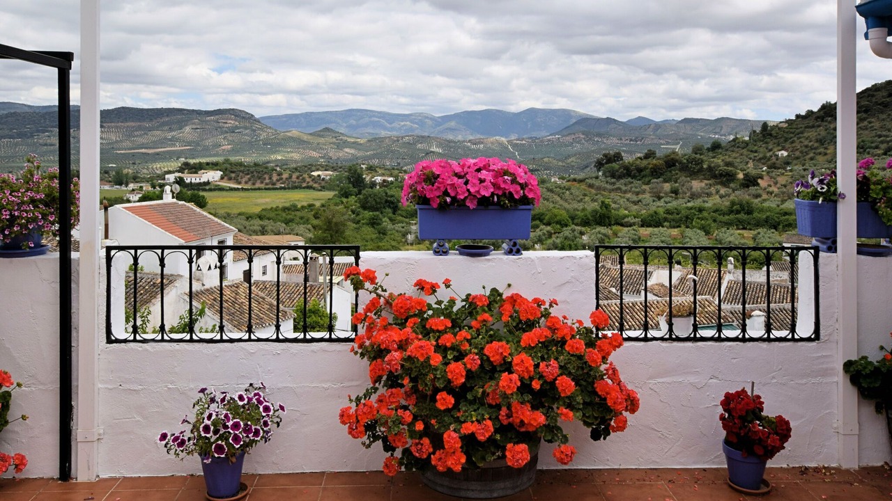 Photo of Outdoor in Zagrilla