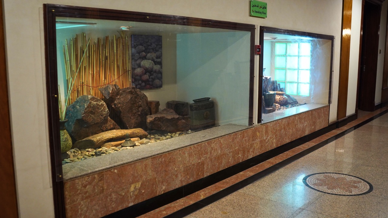 Photo of Others in Al Khobar