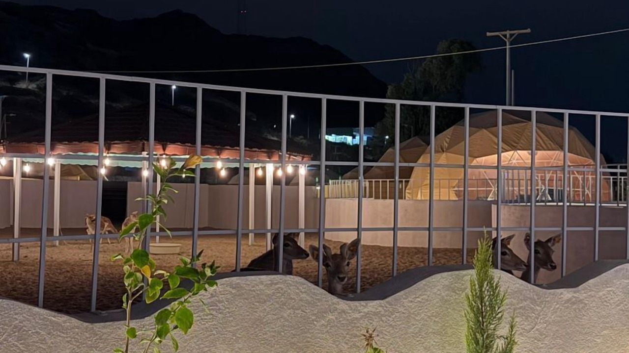 Photo of Others in Al Baha