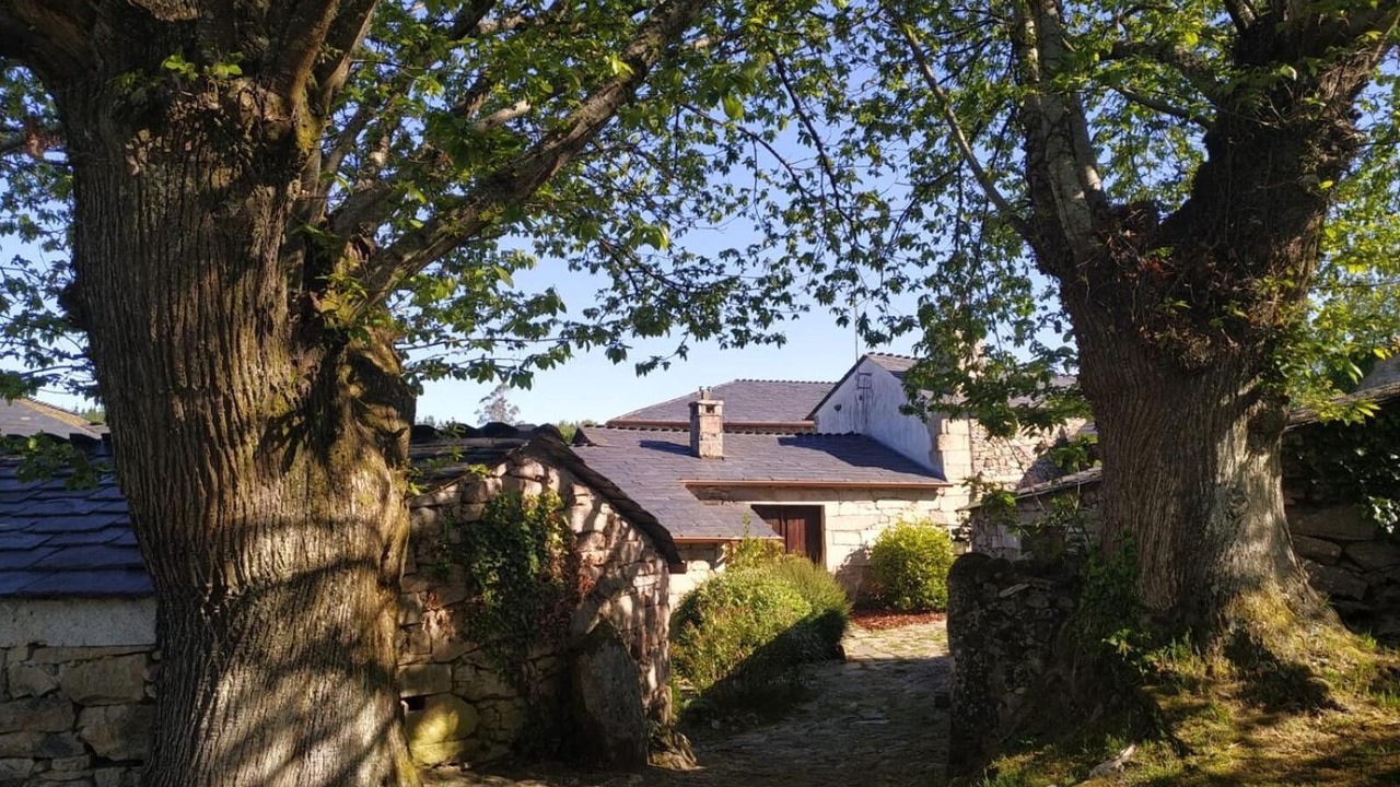 Photo of Outdoor in Monterroso