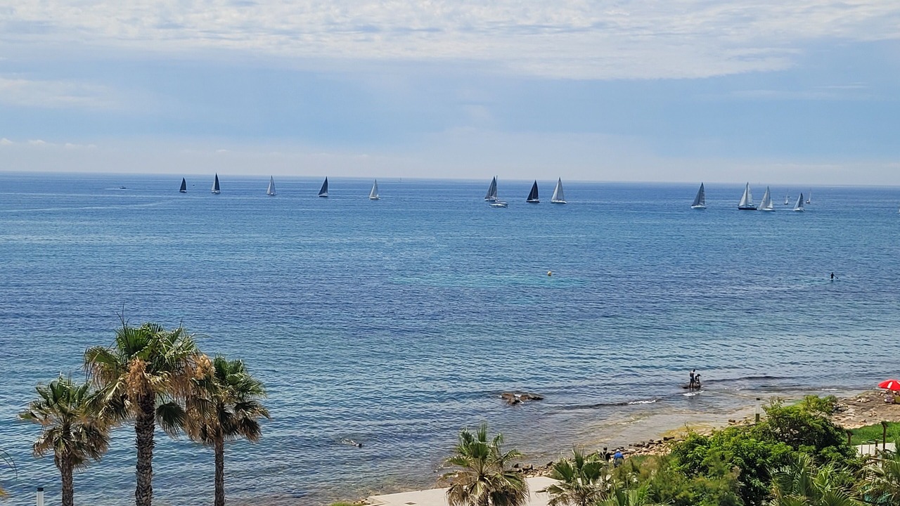 Photo of Others in Torrevieja