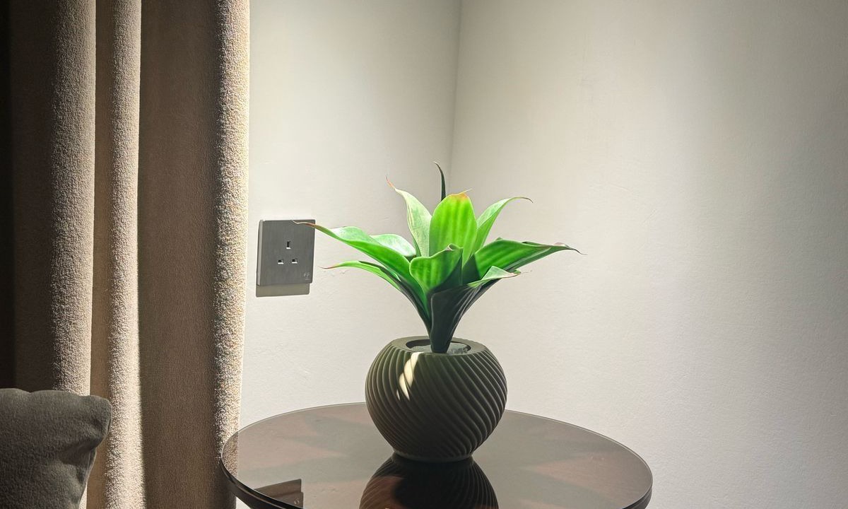 Photo of Bedroom in Duba