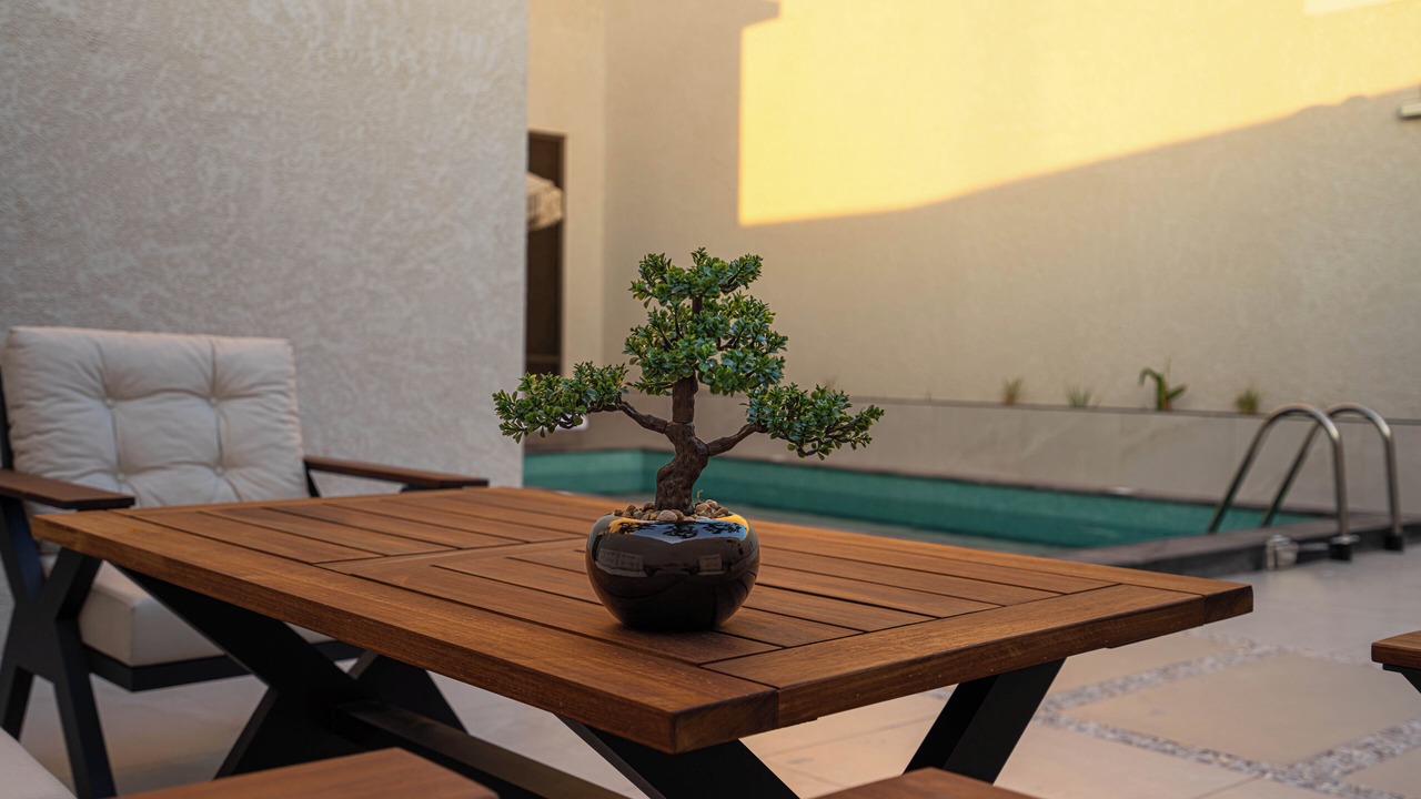 Photo of Outdoor in Medina