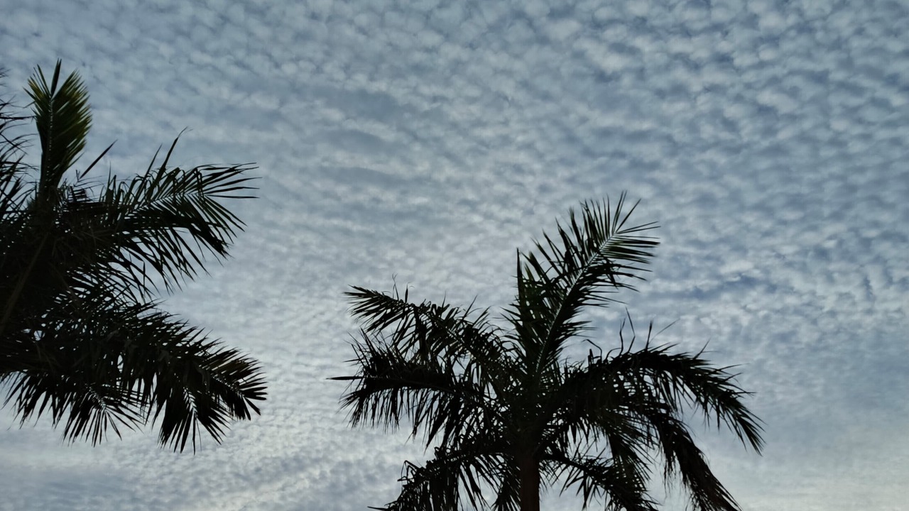 Photo of Outdoor in Tabuk
