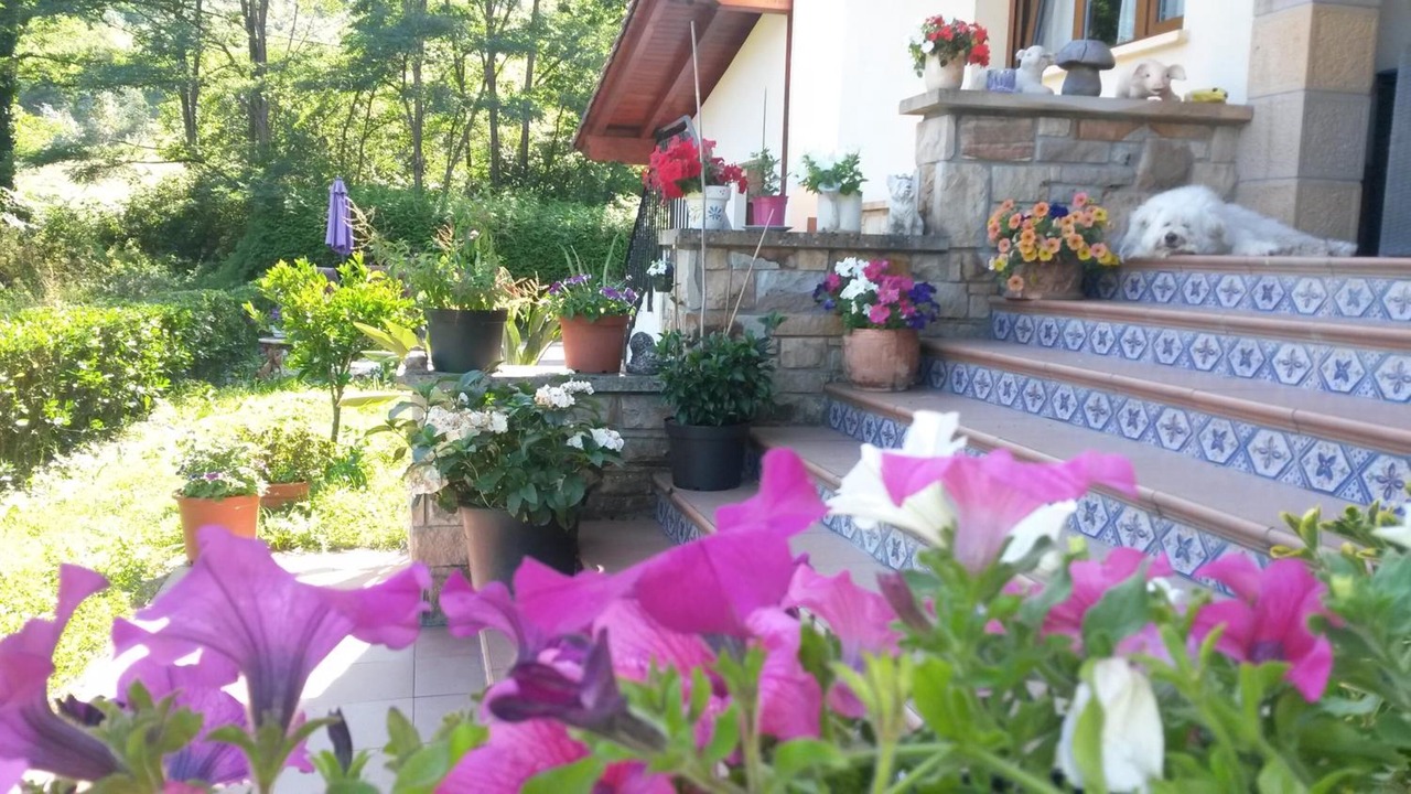 Photo of Outdoor in Larrauri-Markaida