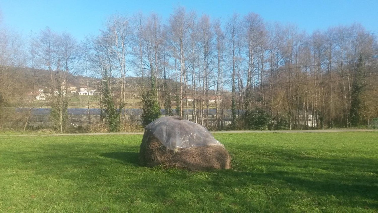 Photo of Outdoor in Larrauri-Markaida