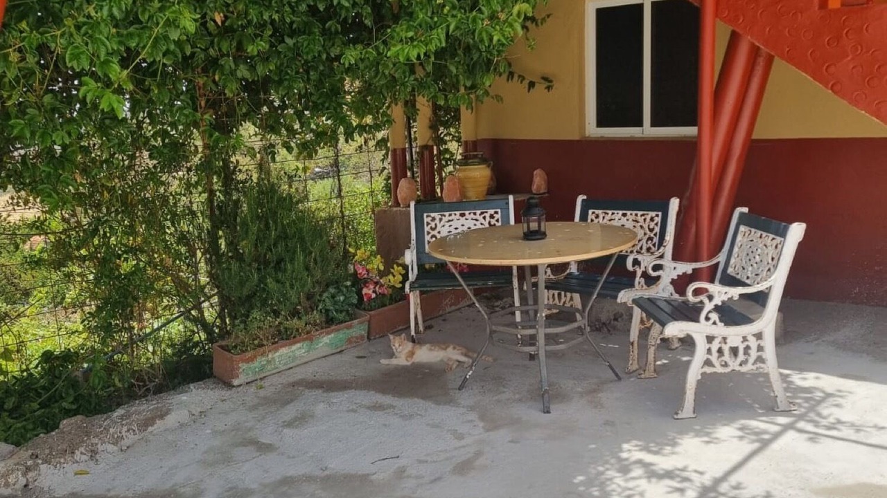 Photo of Outdoor in Tenteniguada