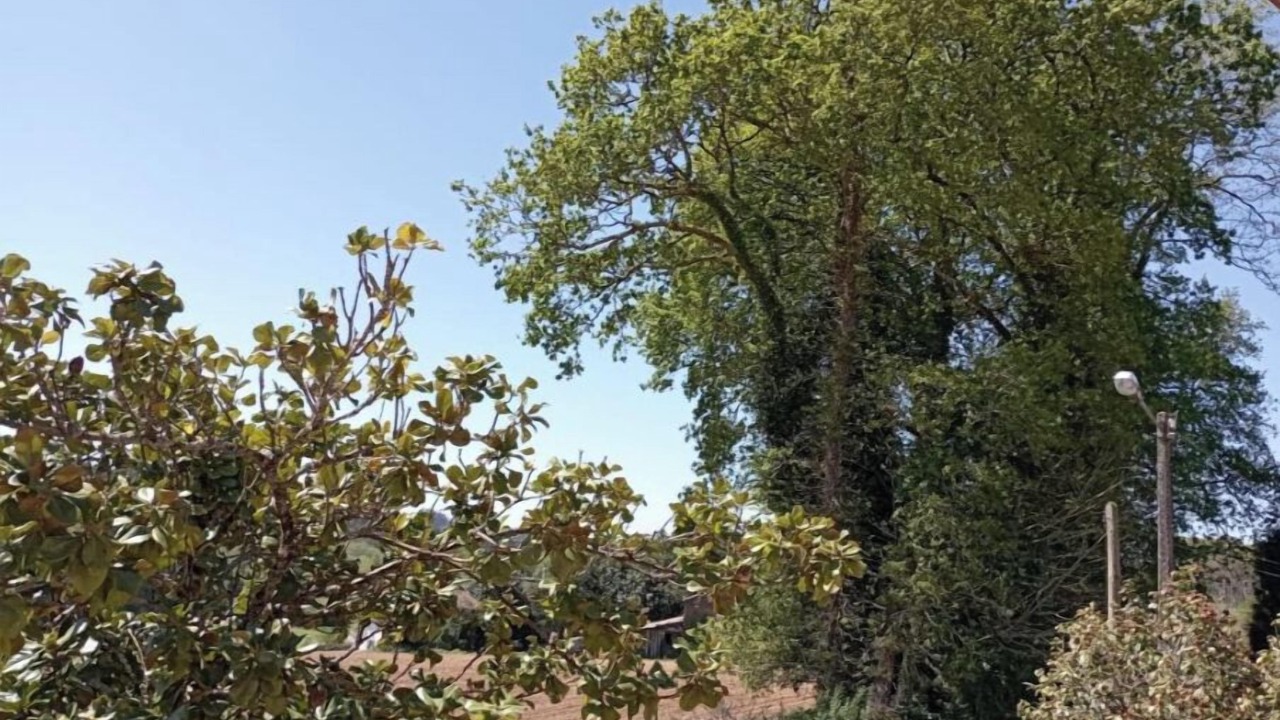 Photo of Outdoor in Ordes