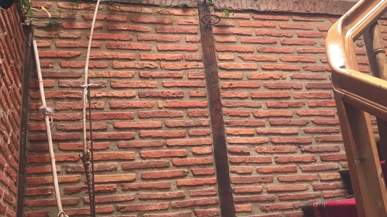 Photo of Others in Quijas