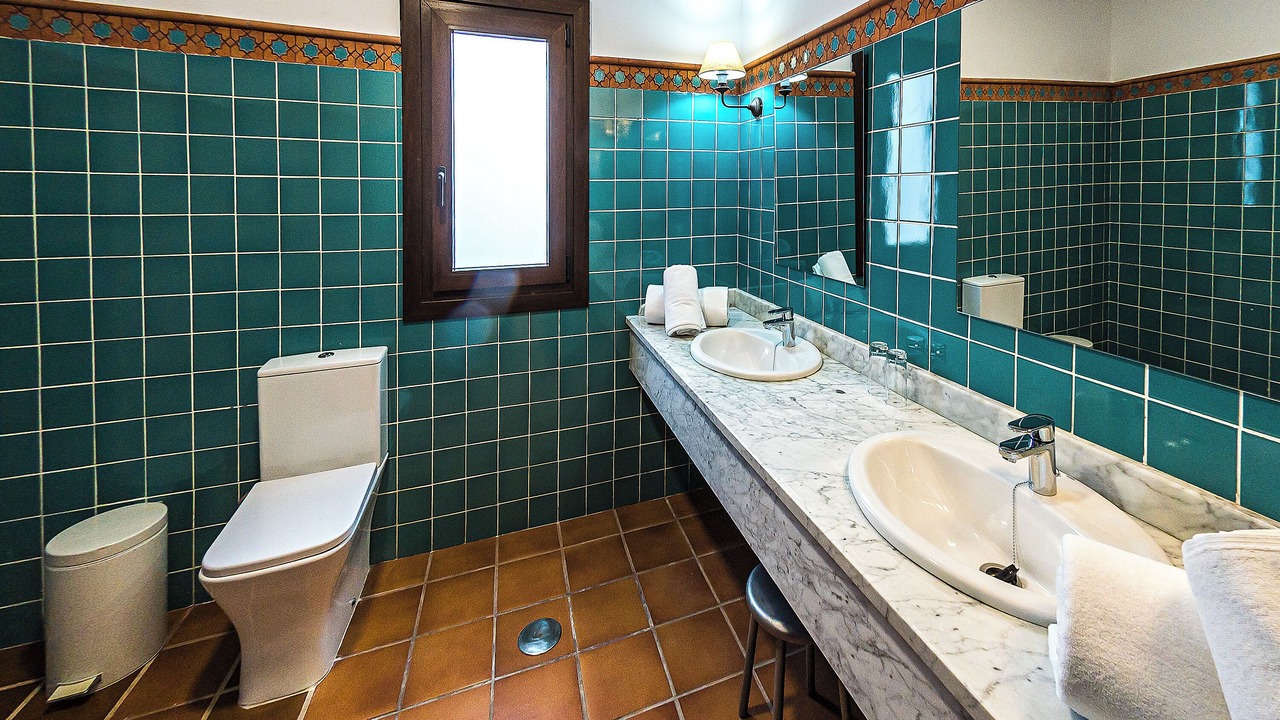 Photo of Bathroom in Calabazares