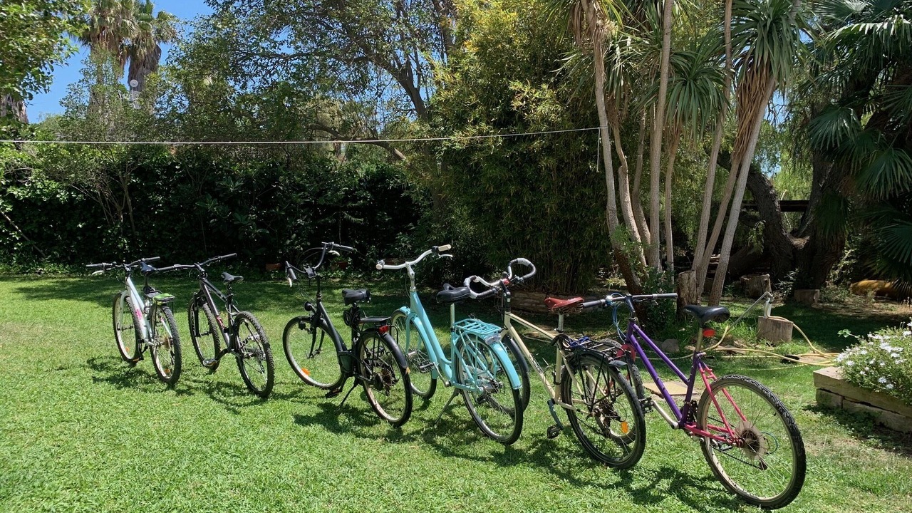 Photo of Outdoor in Puig