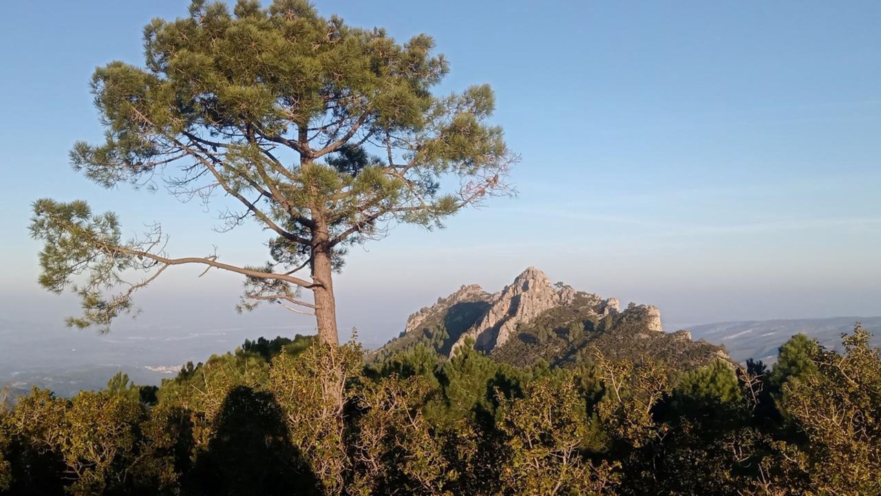 Photo of Outdoor in Barxeta