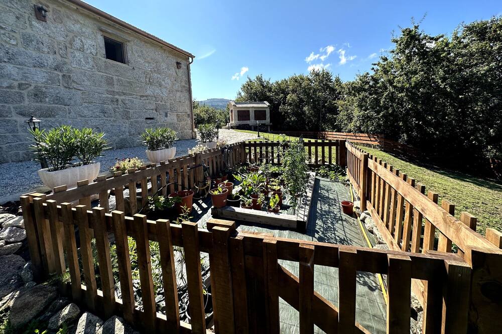 Photo of Outdoor in Covelo
