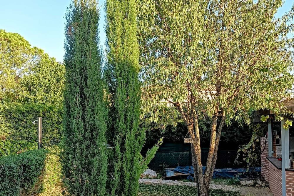 Photo of Outdoor in Pozuelo del Rey