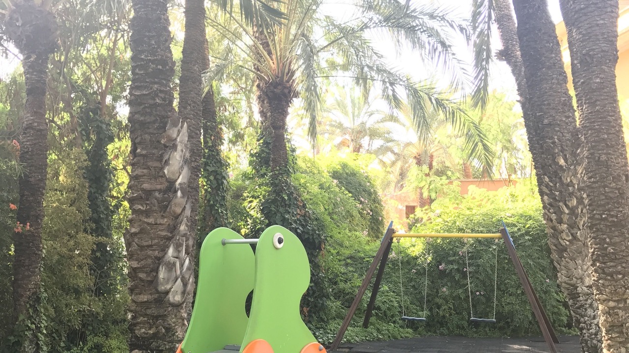 Photo of Outdoor in Elche