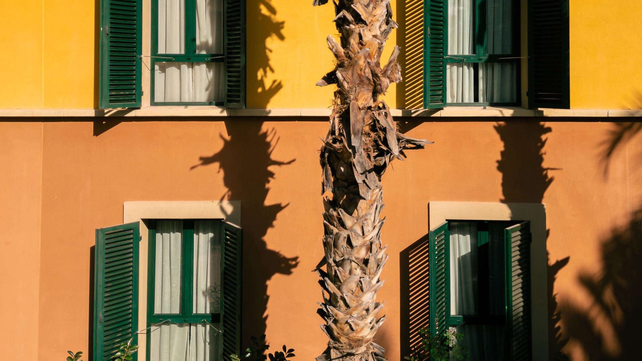 Photo of Outdoor in Elche