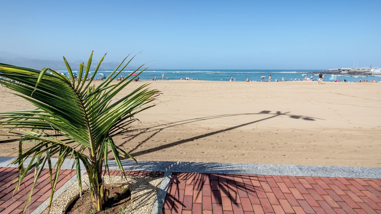 Photo of Others in Las Palmas de Gran Canaria