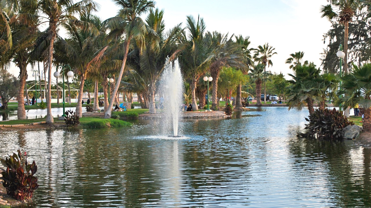 Photo of Others in Yanbu