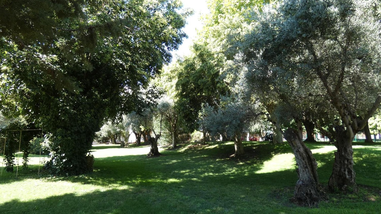 Photo of Outdoor in Getafe