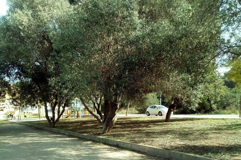 Photo of Others in Moncada