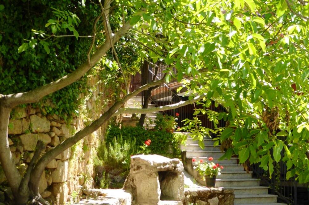 Photo of Outdoor in Villamiel