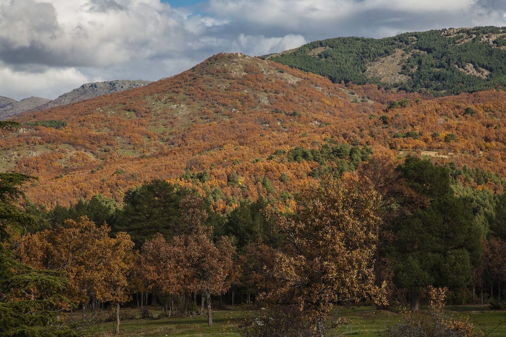 Photo of Others in Rascafria