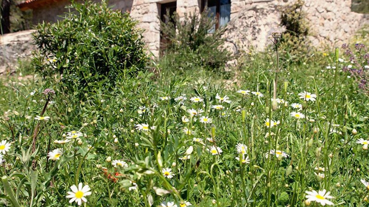 Photo of Outdoor in La Cabrera