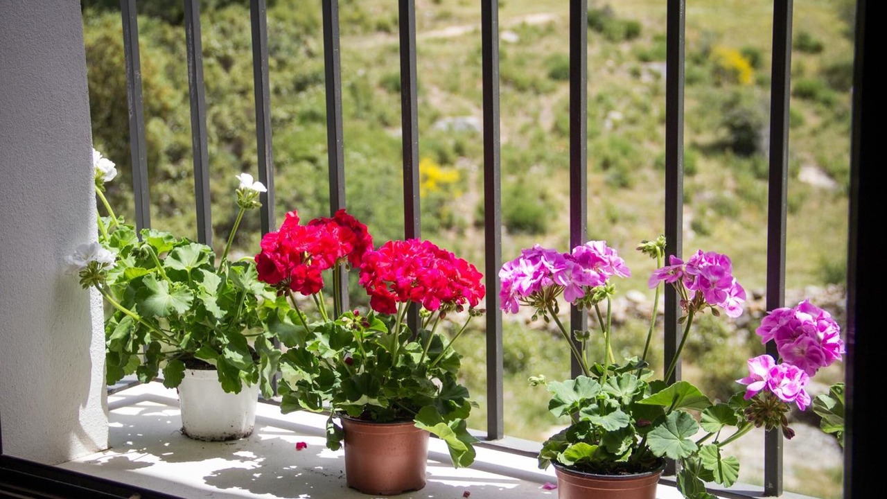 Photo of Others in Grazalema