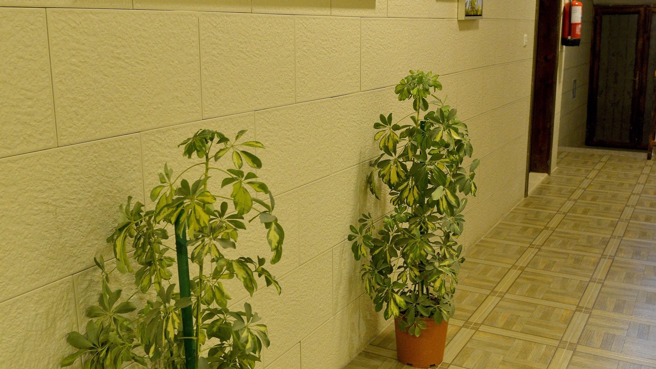 Photo of Others in Al Jubail