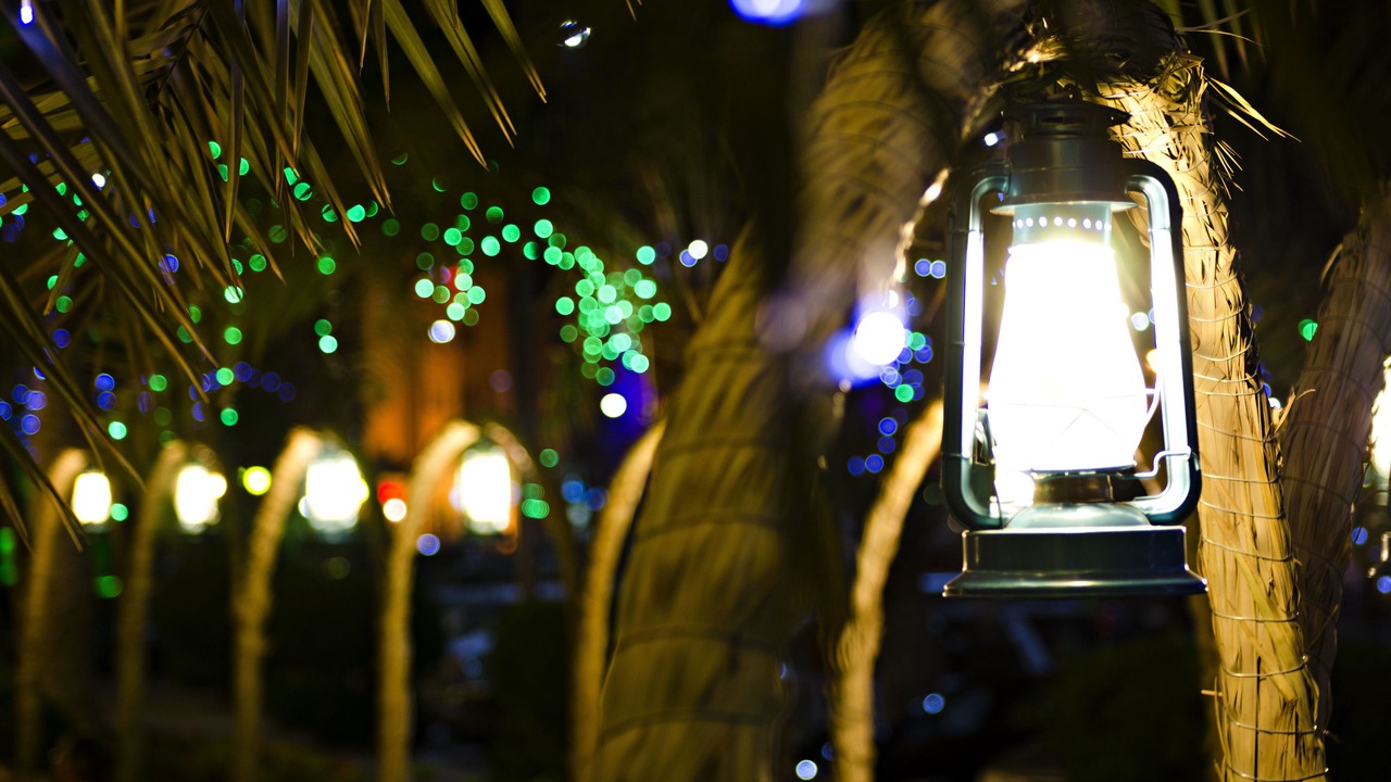 Photo of Outdoor in Al Jubail
