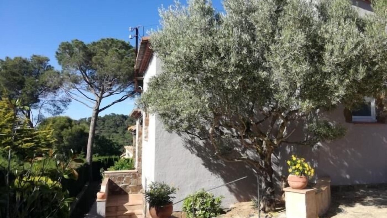 Photo of Outdoor in Begur